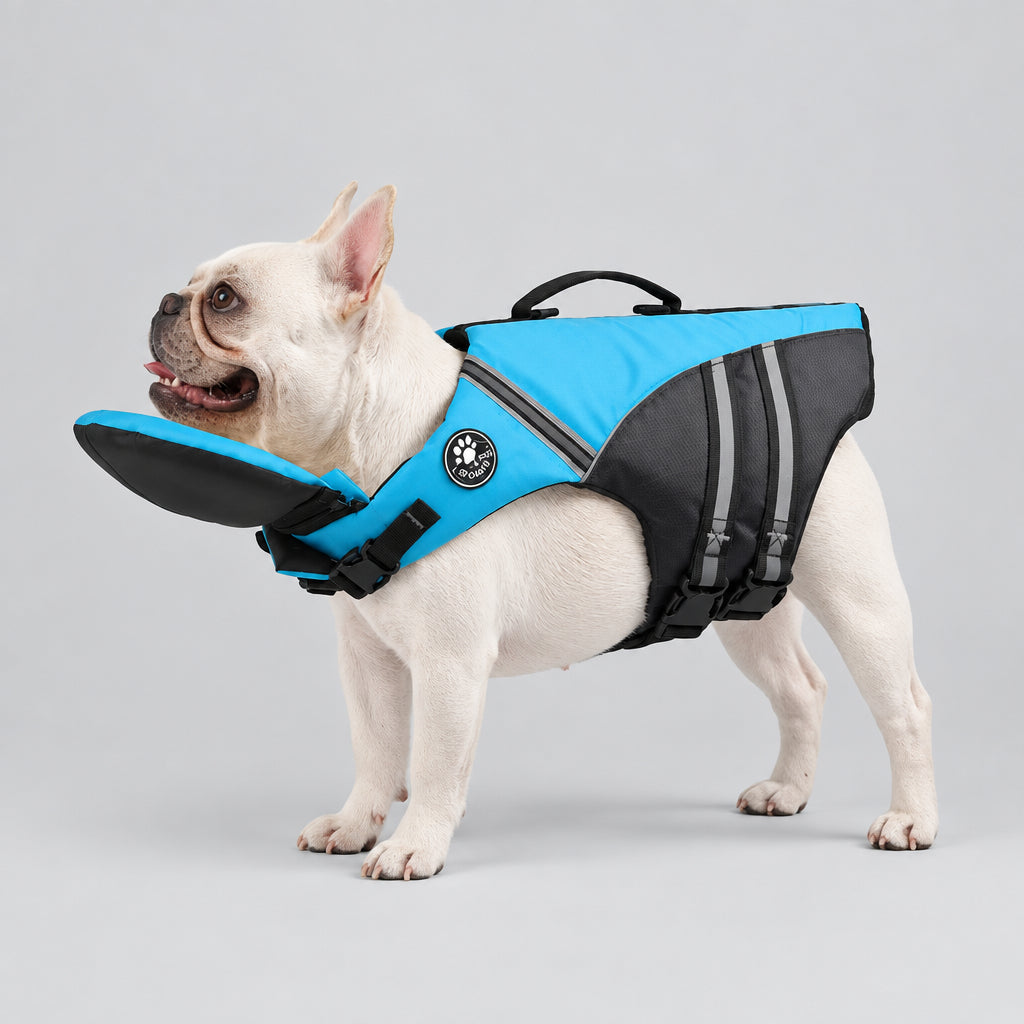 French Bulldog wearing a blue dog life jacket with chin float support and grab handle UK
