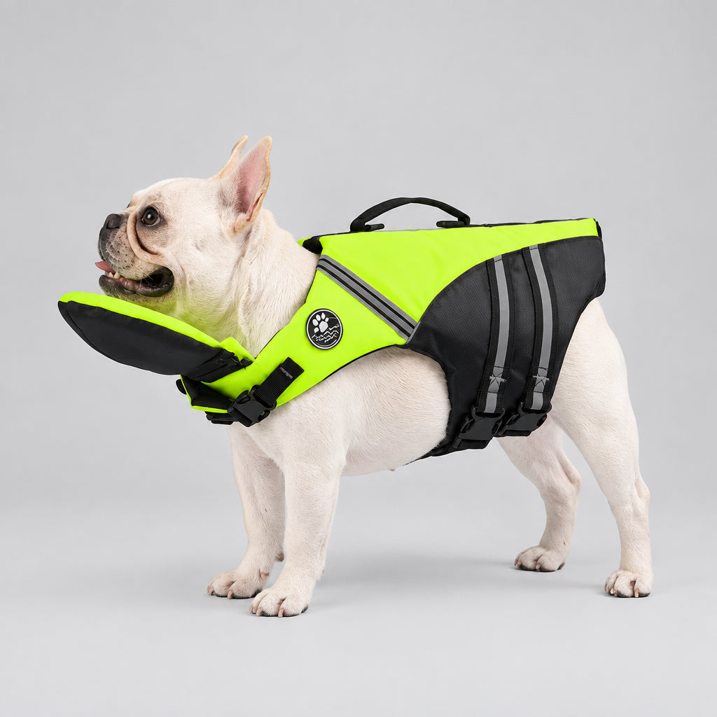 French Bulldog wearing a high-visibility neon green dog life jacket with chin float support and grab handle UK