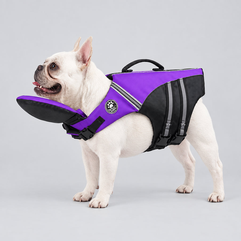 French Bulldog wearing a purple dog life jacket with chin float support and rescue handle UK